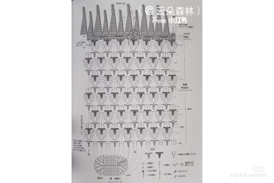 菠萝包