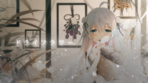 从出生就开始单推神乐七奈