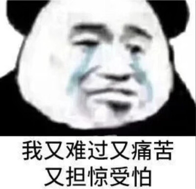 表情包更新