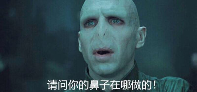 哈利波特表情包，哈迷快来看看