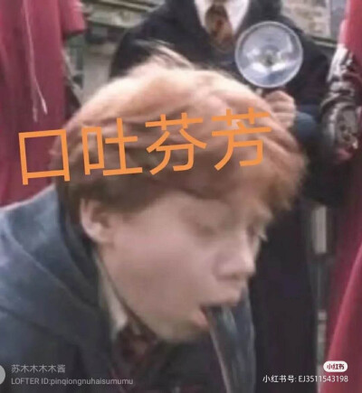 哈利波特表情包，哈迷快来看看