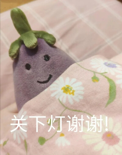 Jellycat茄子表情包