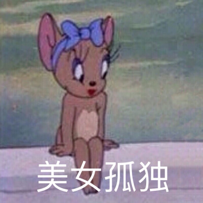 猫和老鼠表情包