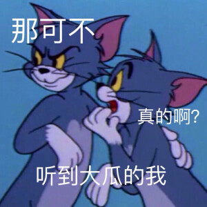 猫和老鼠表情包