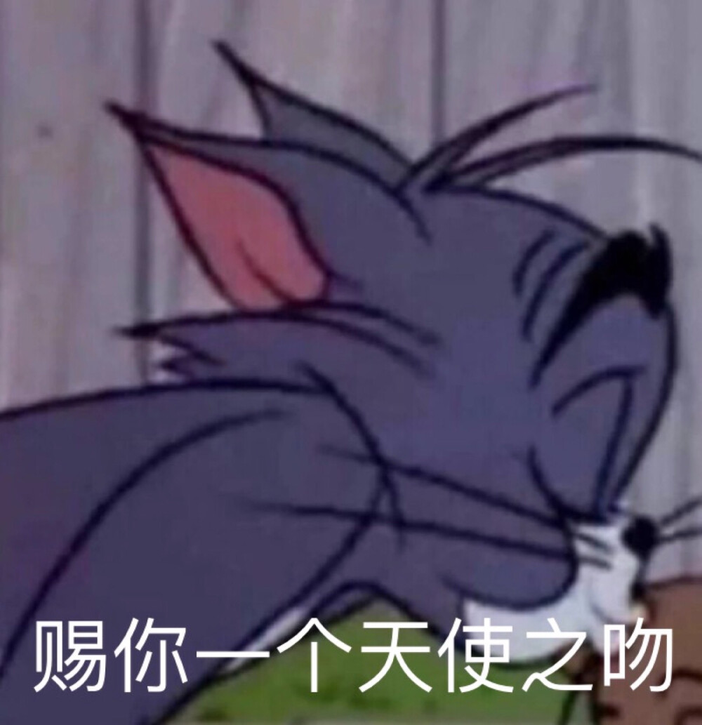 猫和老鼠表情包