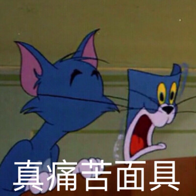 猫和老鼠表情包