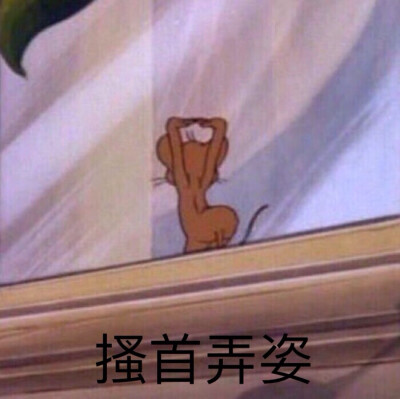 猫和老鼠表情包