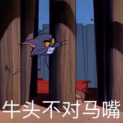 猫和老鼠表情包