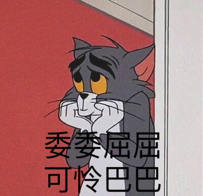 猫和老鼠表情包