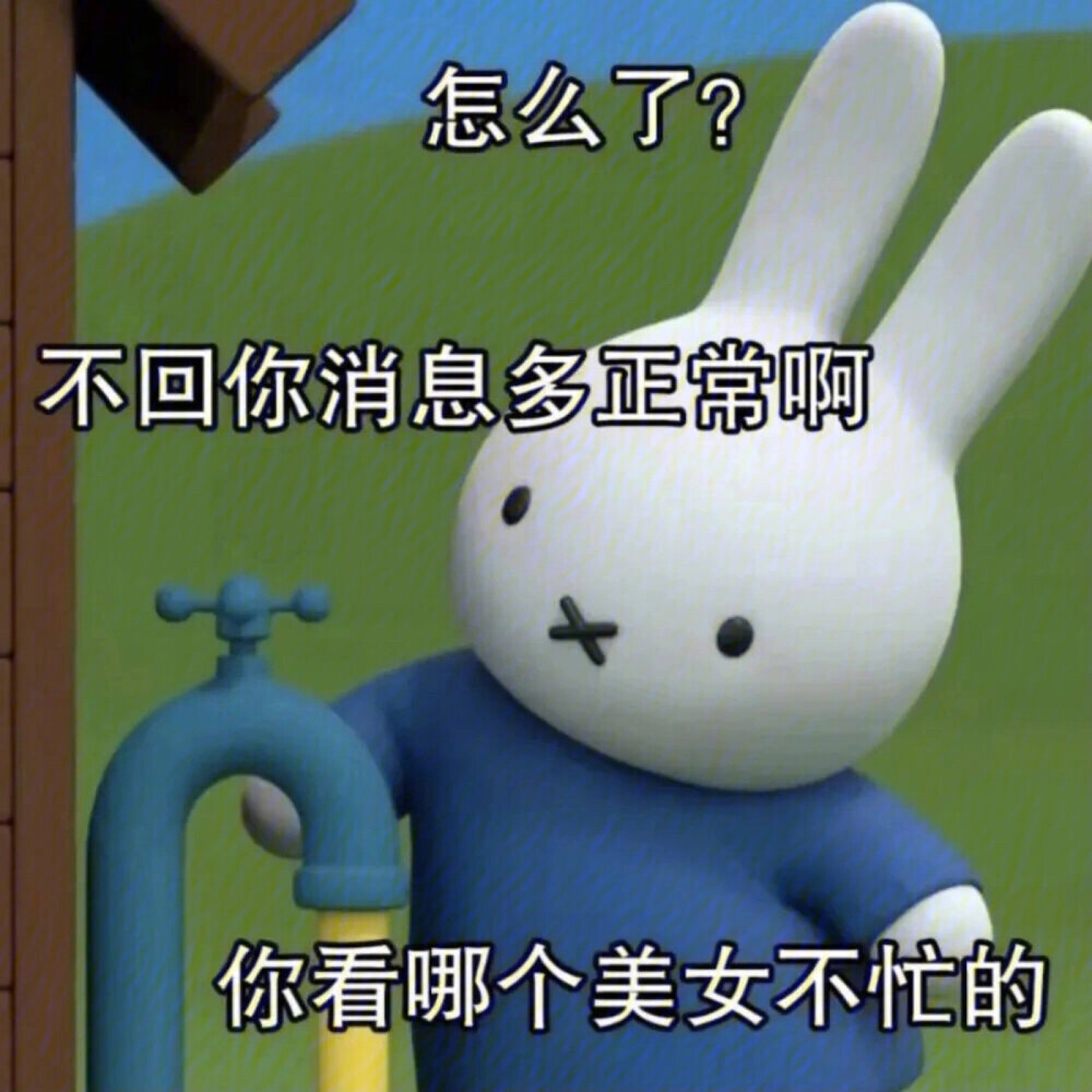 表情包