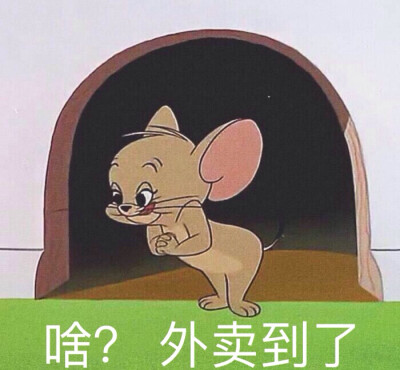 猫和老鼠表情包