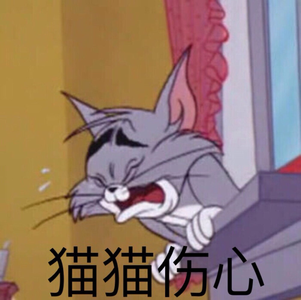 猫和老鼠表情包