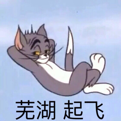 猫和老鼠表情包