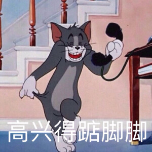 猫和老鼠表情包