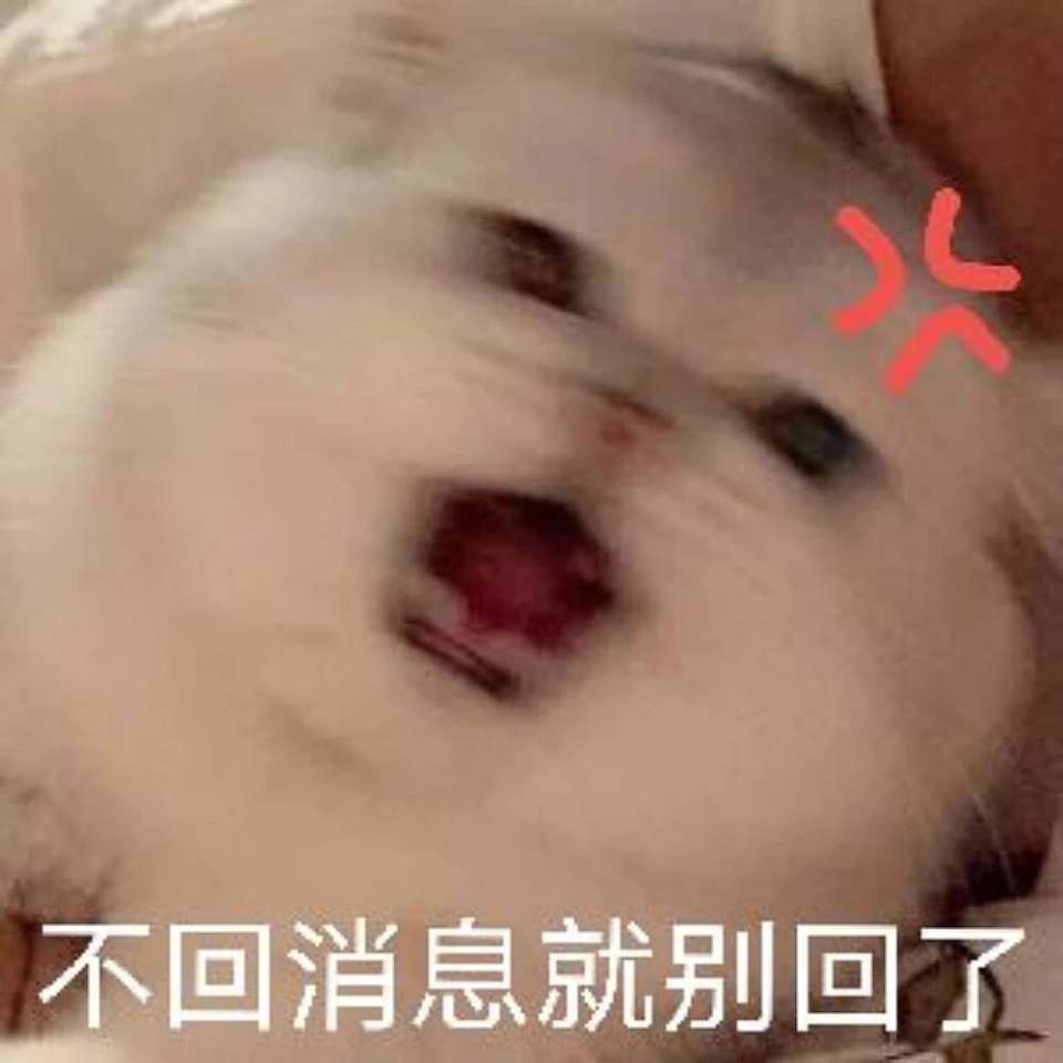 想你了我的宝