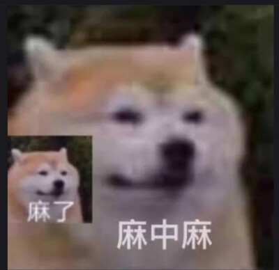 表情包