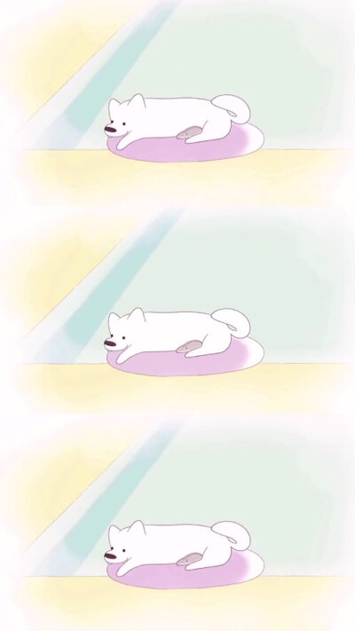 呆在它们身边，世界似乎都可以变得柔软。你有没有被宠物治愈的瞬间呢？